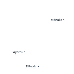 Ansongo Giraffe Reserve Dopa Explorer